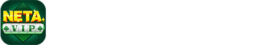 NETAVIP logo
